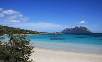 a serene beach scene with clear blue water and a few trees in the foreground at Hotel Daniel