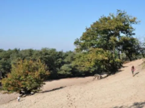 Hotel Udens Duyn Hoteles en Uden