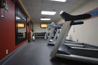 Hampton Inn Salem East-Electric Road - Gym