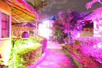 Divine Eco Resort - Airport Shuttle