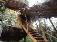 Inn on the Tree Hotels in Kimbissa