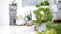 Afaris House Hotel di Meunasah Papeun