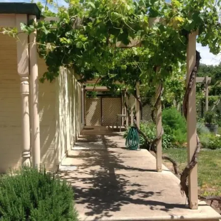 Tin House in Tanunda