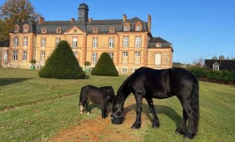 24H le Mans Château de Lauresse Chambres d'hôtes Luxe