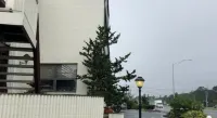 Gateway Inn Hotels in Freeport