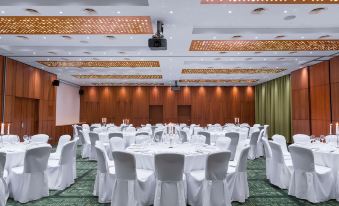 Cosmos Selection Moscow Sheremetyevo Airport Hotel, a Member of Radisson Individuals