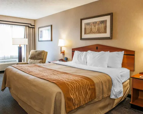 Comfort Inn Edinburgh - Columbus Hotels in German Township