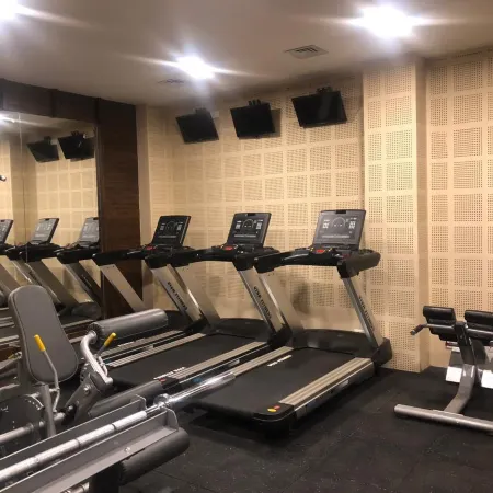The Pema by Realm