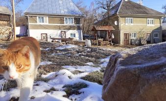 Sejour Farm Casa Mountain Sanctuary