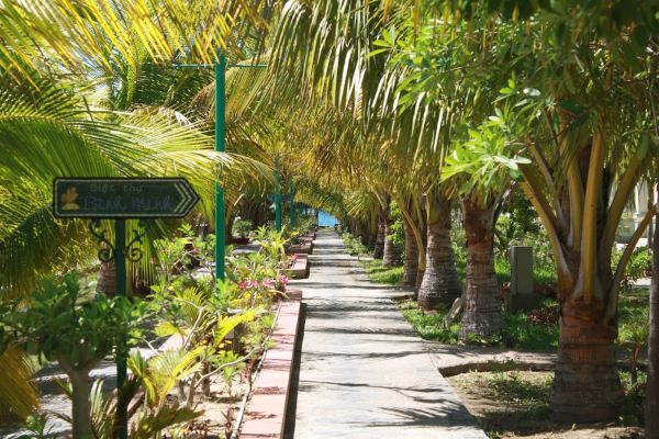 골드 루스터 리조트(Gold Rooster Resort)_4