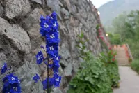 The Eco Village Resort Srinagar - balcony
