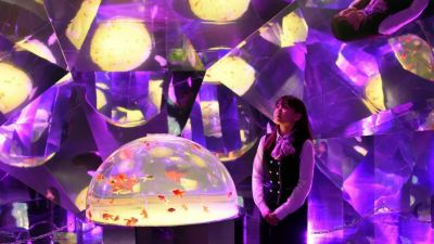 ホテル周辺 第一滝本館の写真