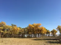 Huyang Autumn Apartment (Junmin Street)