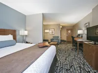 Best Western Plus Blaine at the National Sports Center Hotels in Blaine
