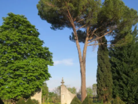 Casa del Ligustro 切維尼亞諾－德爾弗留利酒店