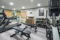 캔들우드 스위트 체서피크 바이 IHG - 피트니스 시설