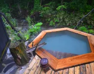 Komagatake Onsen Hotels in Senboku