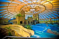 Aquaworld Resort Budapest - Beach