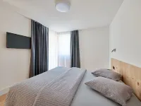 Catrina 2-Zimmer Standard Apartment Hotels in Disentis