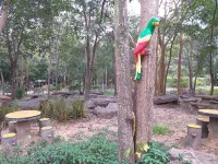 Raisubsomboon Resort Hotels in Sikhio