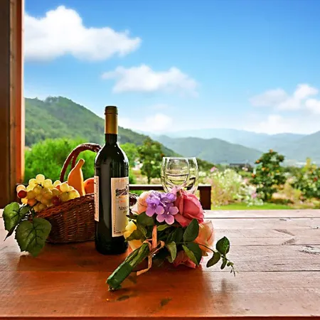 Cheongdo Mountains Bed and Breakfast