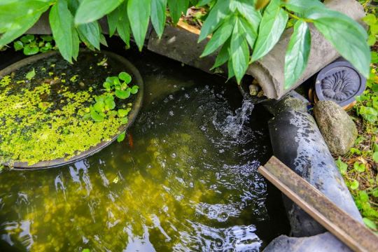 순천 불비당한옥펜션