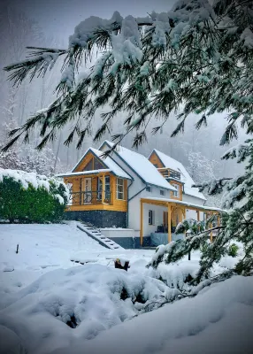 Calm Resort Hertelend Hotels in 