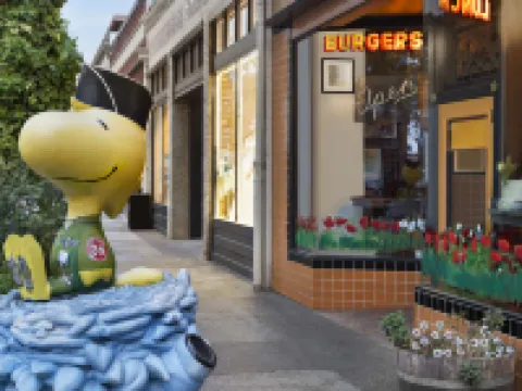 索諾瑪葡萄酒之鄉凱悦酒店 聖羅莎酒店