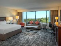 Hilton Greenville Hotels near Timmons Park