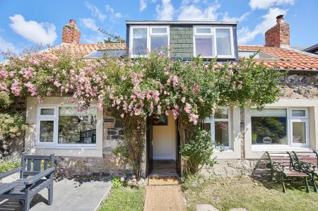 Host & Stay - Eden Cottage Отели рядом с достопримечательностью «The Lindisfarne Gospels Garden»