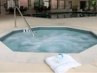 Country Inn & Suites by Radisson, Atlanta Galleria/Ballpark, GA - جاكوزي