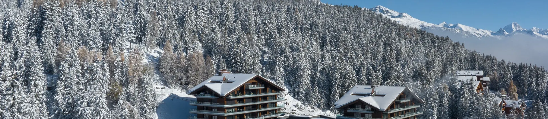 Luxury Hotels