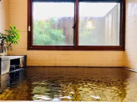 Nasu Palace Hotel - Hot Springs
