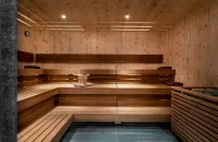 維森尼格滑雪&自行車酒店 - SPA