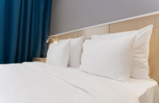 阿拉木圖帕克德德曼酒店