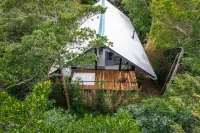 Floresta Monteverde