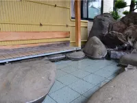 기쿠치 사사노야