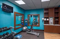 Fairfield Inn & Suites Austin Buda - Gym