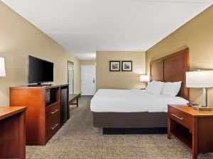 Comfort Inn & Suites Panama City - St Andrew