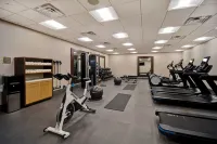 Homewood Suites by Hilton Orange New Haven Hotels in Orange