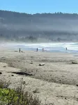 Family friendly coastal house.  Pet Friendly, Big screen tv's in every room!