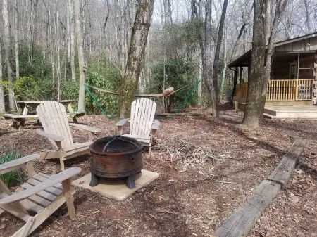 Escape to Western North Carolina, Secluded, But Close to Everything!