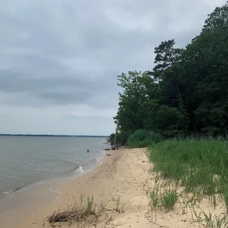 Soul Oasis - home on the Chesapeake Bay
