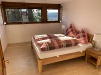 Villa in the Black Forest with indoor pool