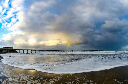 Luxury, Ground Floor Studio #4 just 167 steps to the Best Beach in San Diego! Отели рядом с достопримечательностью «Ошен Дискавери Институт»