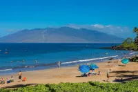 Breathtaking Ocean Views!  Beach Front Luxury Penthouse, Polo Beach 2 Bed/2 Bath