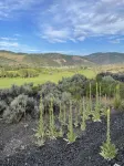 Riverside condo, new modern rustic decor, 10 minutes to Beaver Creek