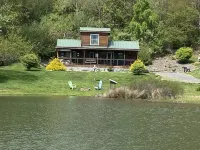 Time to Unwine-Waterfront Cabin w/Hot Tub! Pet Friendly! Blue Ridge Parkway
