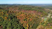 "ENDLESS VIEW" Red River Gorge/Natural Bridge- New Construction!! Dog Friendly!!