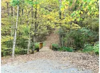 Raccoon Tiny Cabin on Lake with Game Center